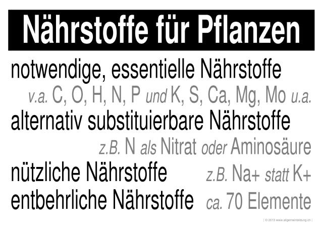w_LernPlakate_BIO_Naehrstoffe-Pflanzen.jpg (629989 Byte)