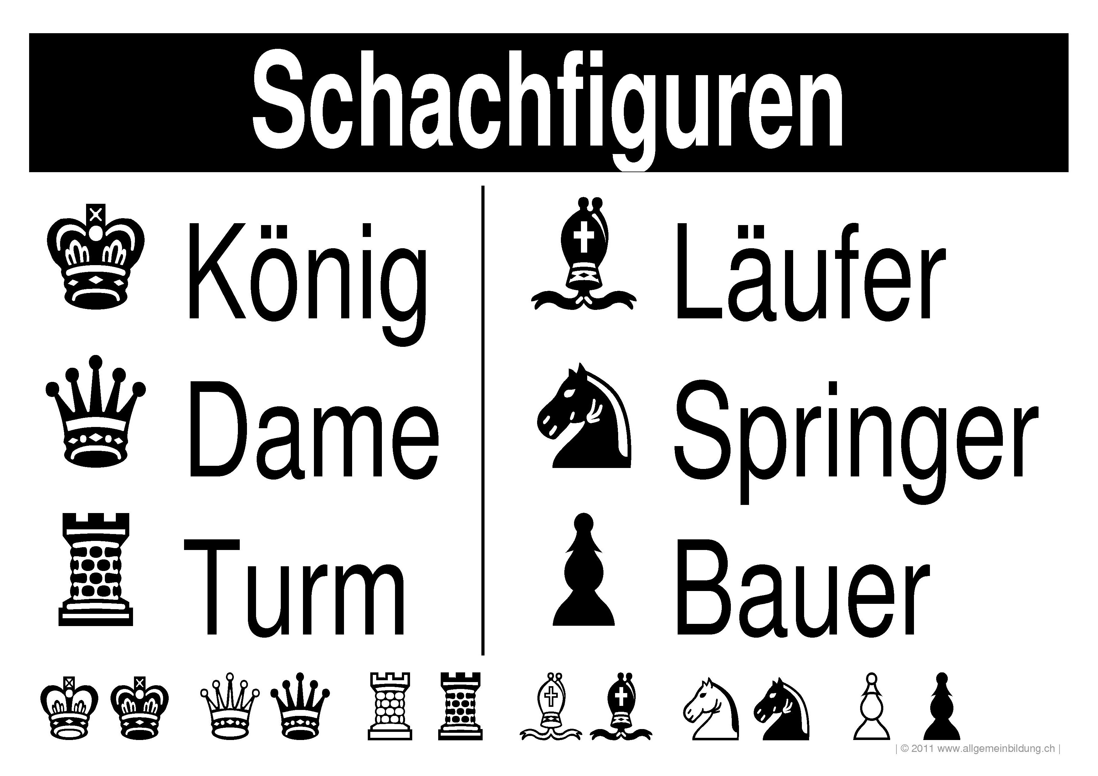 Schachfiguren Regeln