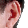 the ear | l' [f.] oreille