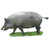 the pig | le cochon