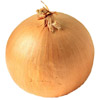 Zwiebel - onion - oignon - cipolla - cebolla. El bulbo