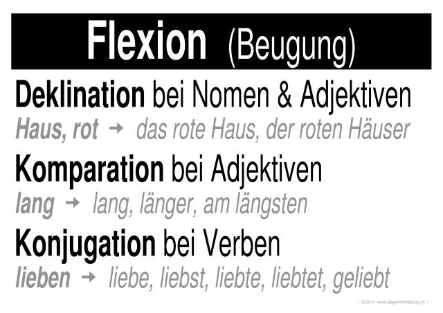 w_LernPlakate_DEU_Flexion-Deklination+Konjugation.jpg (440049 Byte)