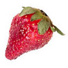 the strawberry | la fraise