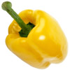 the sweet pepper | le poivron