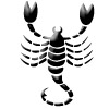 Skorpion - Scorpio - Scorpion - Scorpio - Escorpin