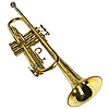 Trompete - trumpet - trompte - tromba - trompeta